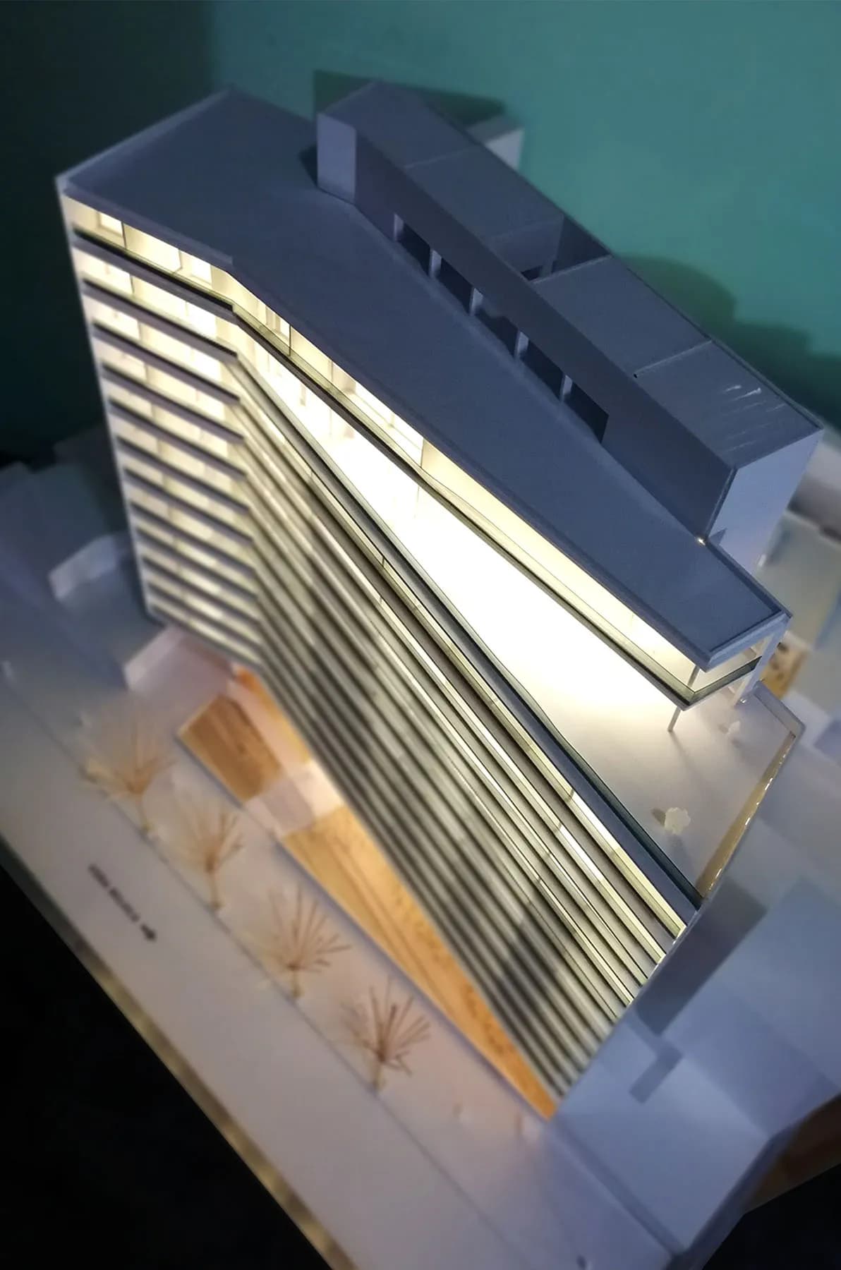 Silene II – Rosario